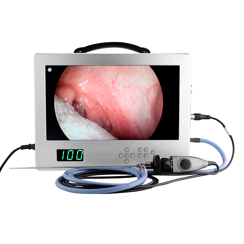 4K all in one Endoscope Camera system